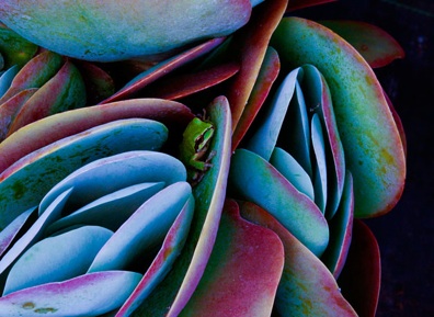 Post image for Seven things I learned from winning Smithsonian magazine’s photo contest