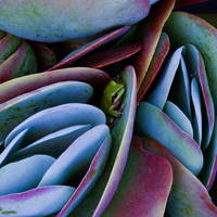 Post image for Seven things I learned from winning Smithsonian magazine’s photo contest