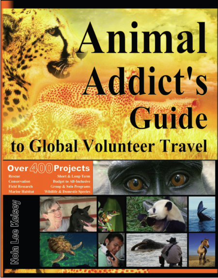 Post image for Animal Addict’s Guide to Global Volunteer Travel