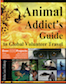 Thumbnail image for Animal Addict’s Guide to Global Volunteer Travel